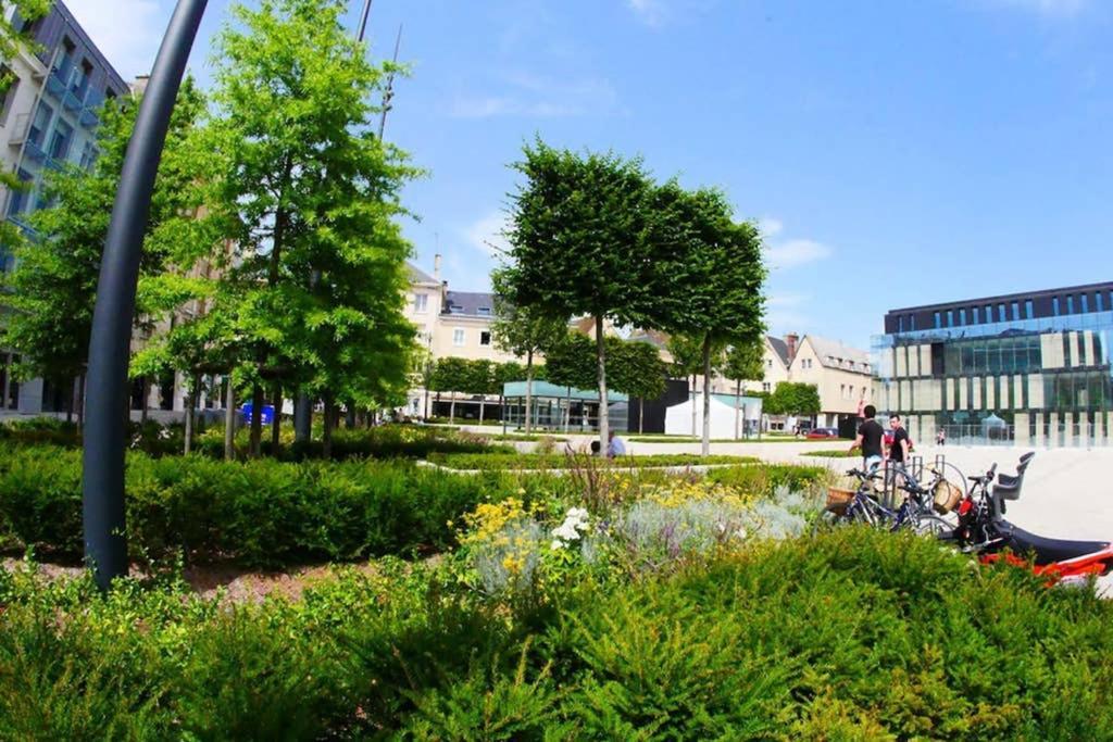 Chartres Coeur De Ville, Beau 2 Pieces Chaleureux Et Lumineux,Parking Et Wifi ! Exteriör bild